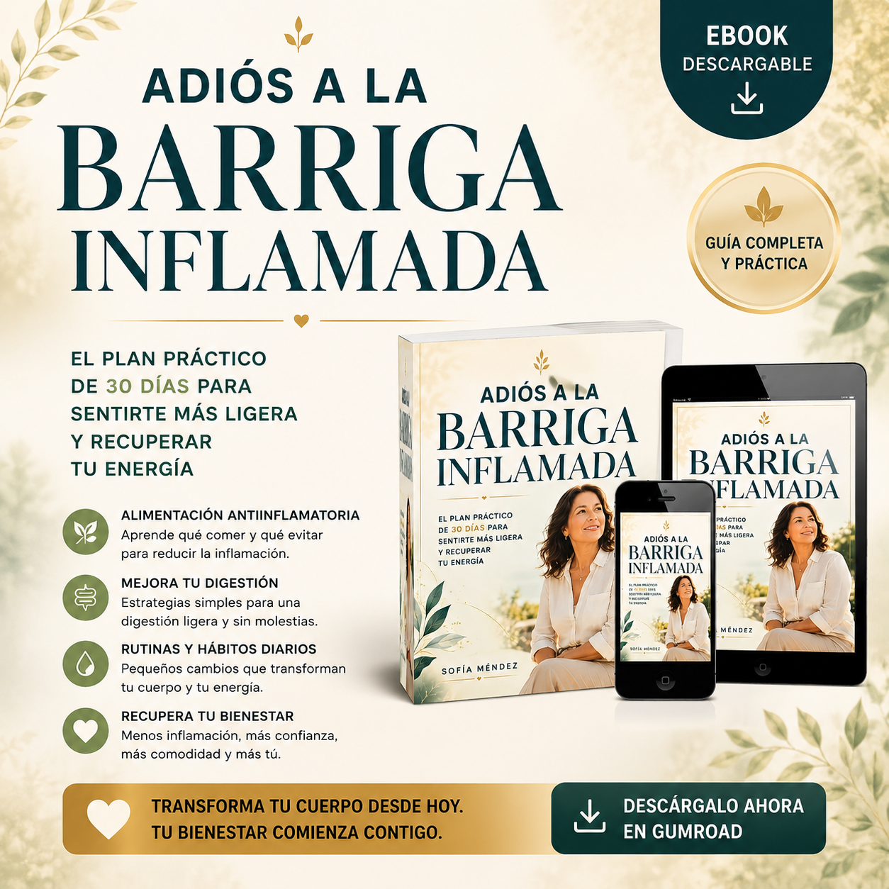 Arte original de Adiós a la Barriga Inflamada